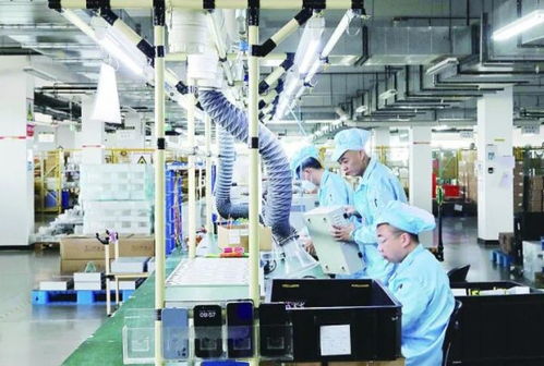 借力京津創(chuàng)新引擎，生物技術(shù)開(kāi)發(fā)為我市產(chǎn)業(yè)注入新活力