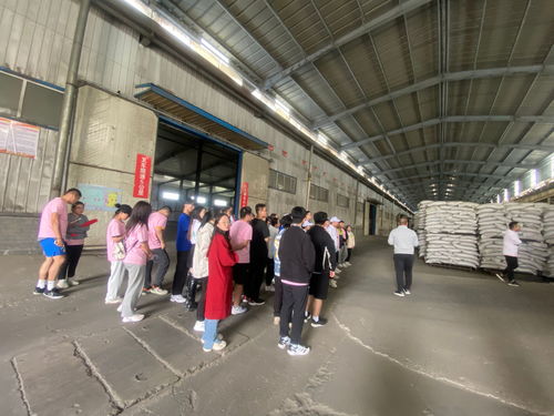 動(dòng)物科學(xué)技術(shù)學(xué)院大北農(nóng)班師生赴賓縣開(kāi)展生物技術(shù)開(kāi)發(fā)協(xié)同育人活動(dòng)