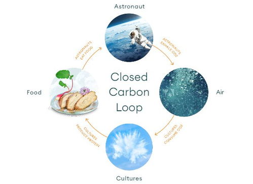 空氣造肉 生物技術(shù)顛覆食品科技，人類飲食革命或?qū)㈤_(kāi)啟